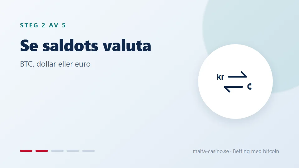 Se efter saldots valuta