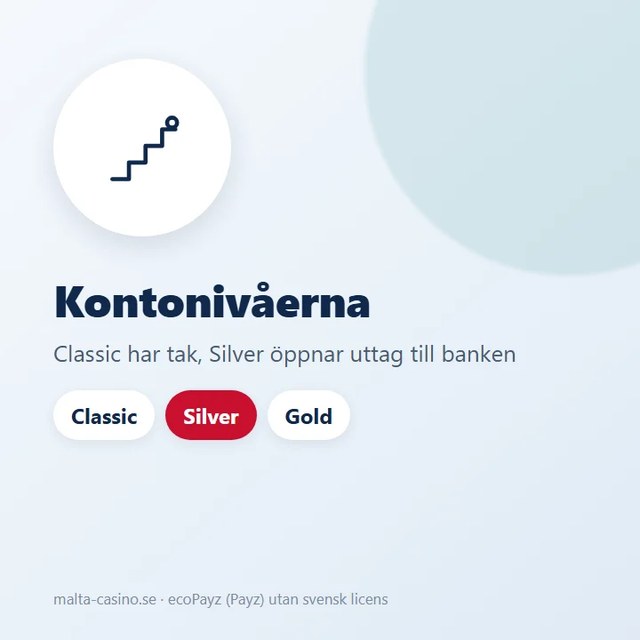 Illustration: Payz kontonivåer Classic, Silver, Gold, Platinum och VIP