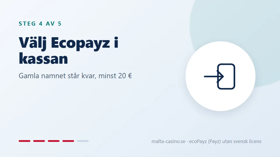 Välj Ecopayz i casinots kassa