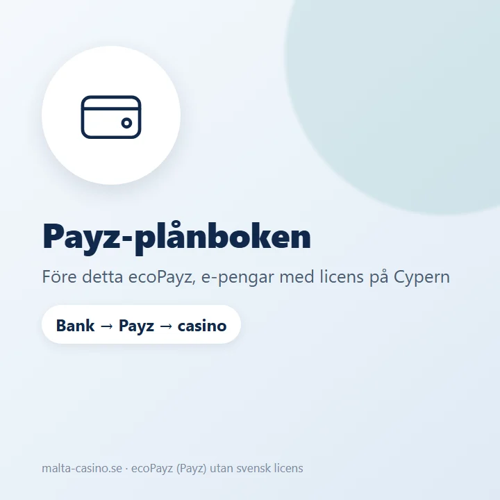 Illustration: Payz är en e-plånbok med konton i flera valutor