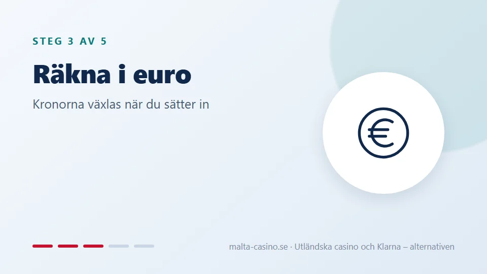 Räkna i euro