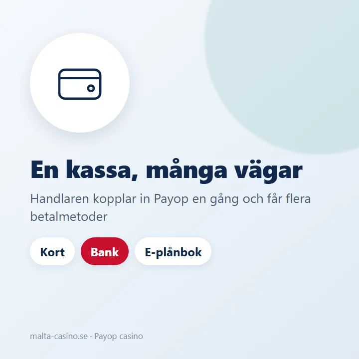 Illustration: Payop samlar många betalmetoder i en och samma kassa för handlaren
