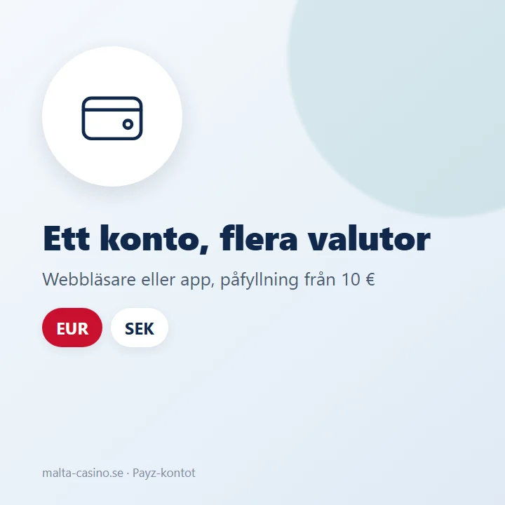 Illustration: Payz-kontot i appen med flera valutakonton