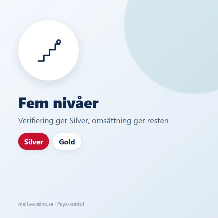 Illustration: trappan från Classic via Silver och Gold till Platinum och VIP