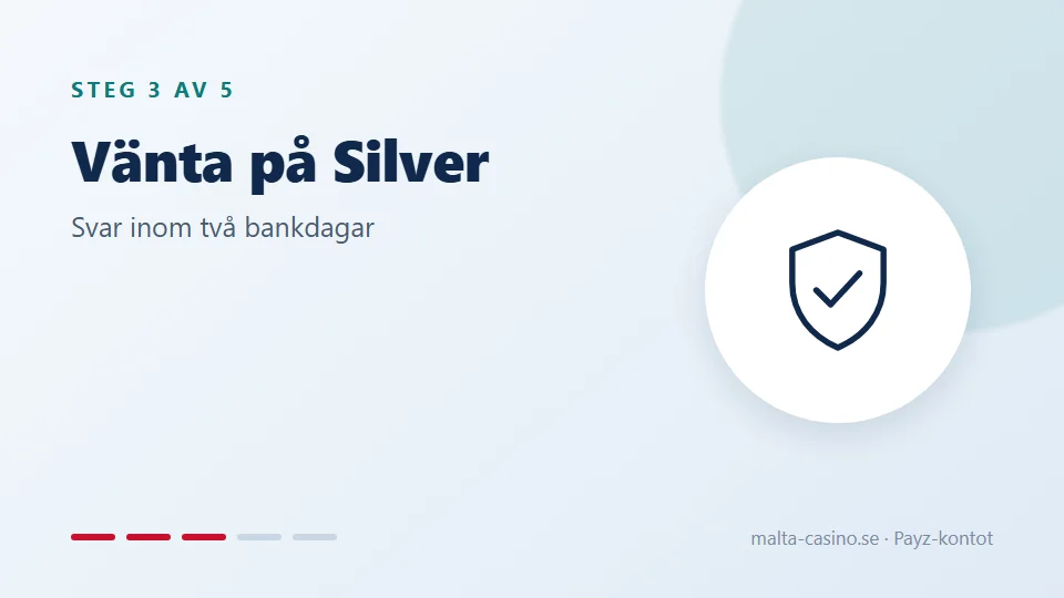 Vänta på Silver