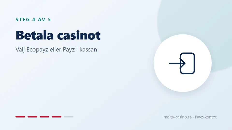 Betala casinot med Payz