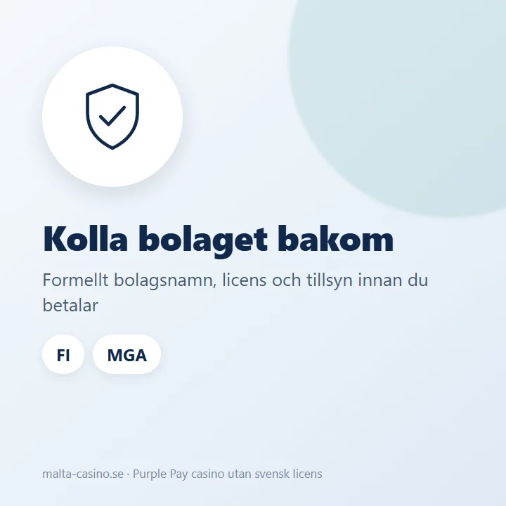 Illustration: kontrollera bolaget bakom ett betalsätt, licens och tillsyn innan betalningen