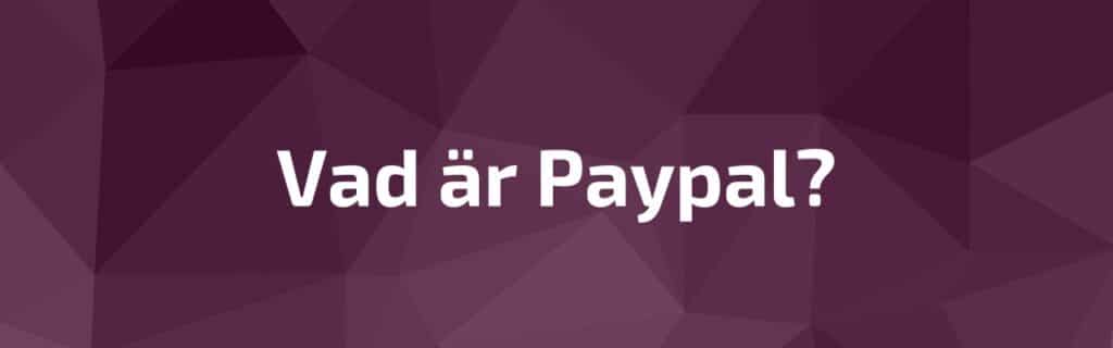 Vad är Paypal och hur fungerar det? 