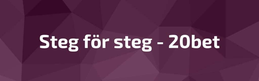 Steg-för-steg-guide